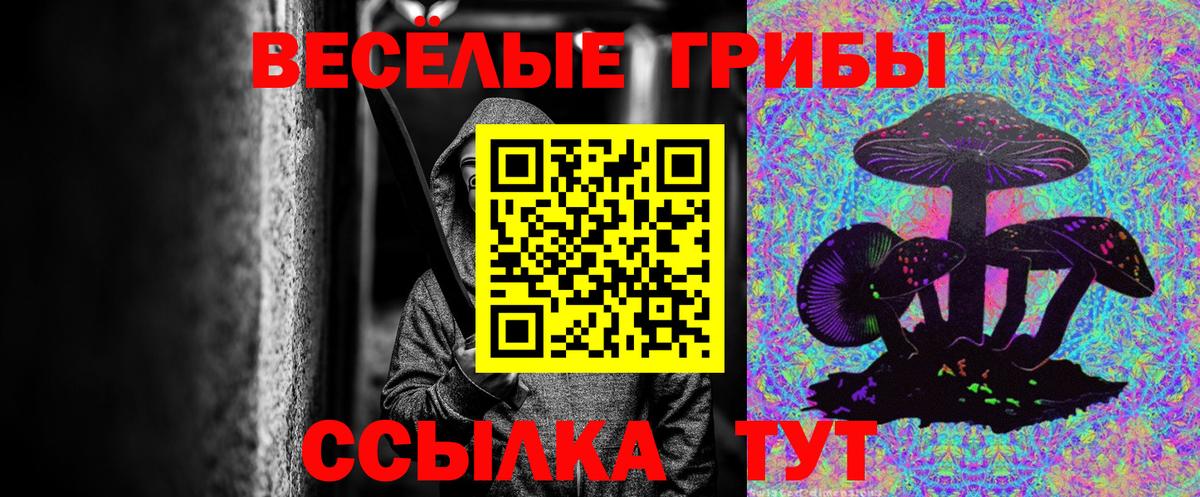 Галлюциногенные грибы Psilocybe  Вход с VPN  Псилоцибиновые грибы Magic Shrooms  Бахчисарай 